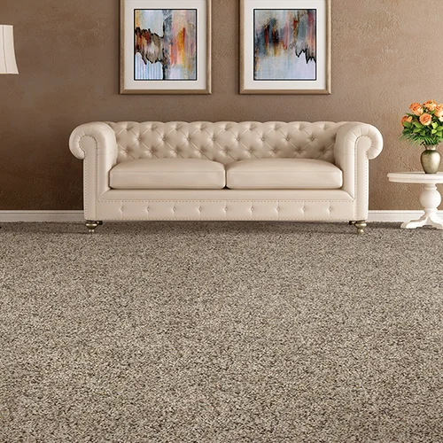 Beam's Carpet & Flooring providing stain-resistant pet proof carpet in Carlisle, PA